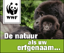 Banner WNF